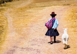 A young girl in South American garb is walking with a sheep along a dirt path