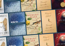 Covers to some of the book's discussed below