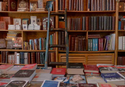The interior of a private library. A ladder rests on the wooden shelves.
