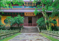  Lingyin Temple