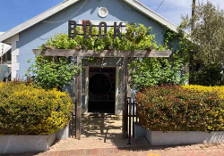 A modest blue home with plants and ivy almost swallowing the entrance