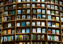 Books on a curved bookshelf