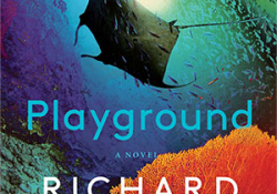 The cover to Playground: A Novel by Richard Powers