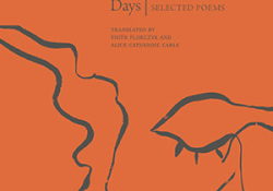 The cover to A Calligraphy of Days: Selected Poems by Krzysztof Siwczyk