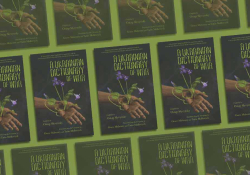 A tile collage featuring the cover to Ostap Slyvynsky’s Ukrainian Dictionary of War