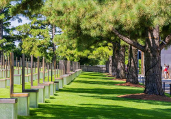 Trees on pedestals lined a grassy walkway