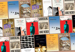 The covers to the books discussed below