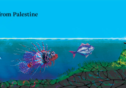 An illustration of fish following a tiny human swimmer