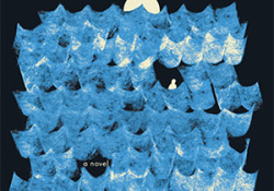 The cover to The Book of Records by Madeleine Thien