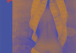 The cover to Carapace Dancer: Spanish and Didxazá (Isthmus Zapotec) Poems by Natalia Toledo