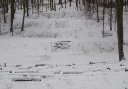 A forest with snow on the ground. Steps can just be seen through the snow