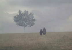 Two figures standing in a gauzy mist, holding hands with a lone tree looming ahead of them