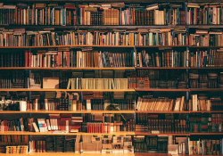 A photograph of a wall mounted bookshelf filled from top to bottom with books