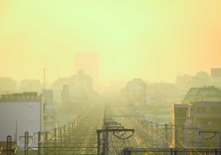 A Tokyo sunrise, the city bathed in dust