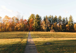 A path in Camp Thorpe, Goshen, Vermont 