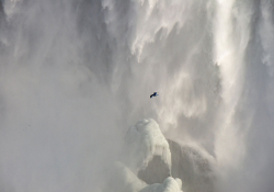 A photograph of Niagara Falls with a bird flying in the spray