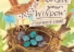 Outside Your Window: First Book of Nature by Nicola Davies