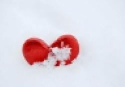 Frozen heart
