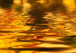 Light from a sunset reflected in water