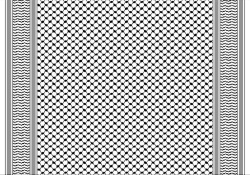 A geometric pattern of intricate interwoven lines